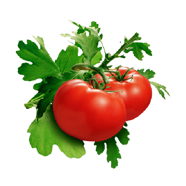 طماطم ( 1 كيلو )