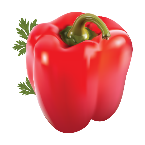 فلفل ألوان ( 500 جرام )