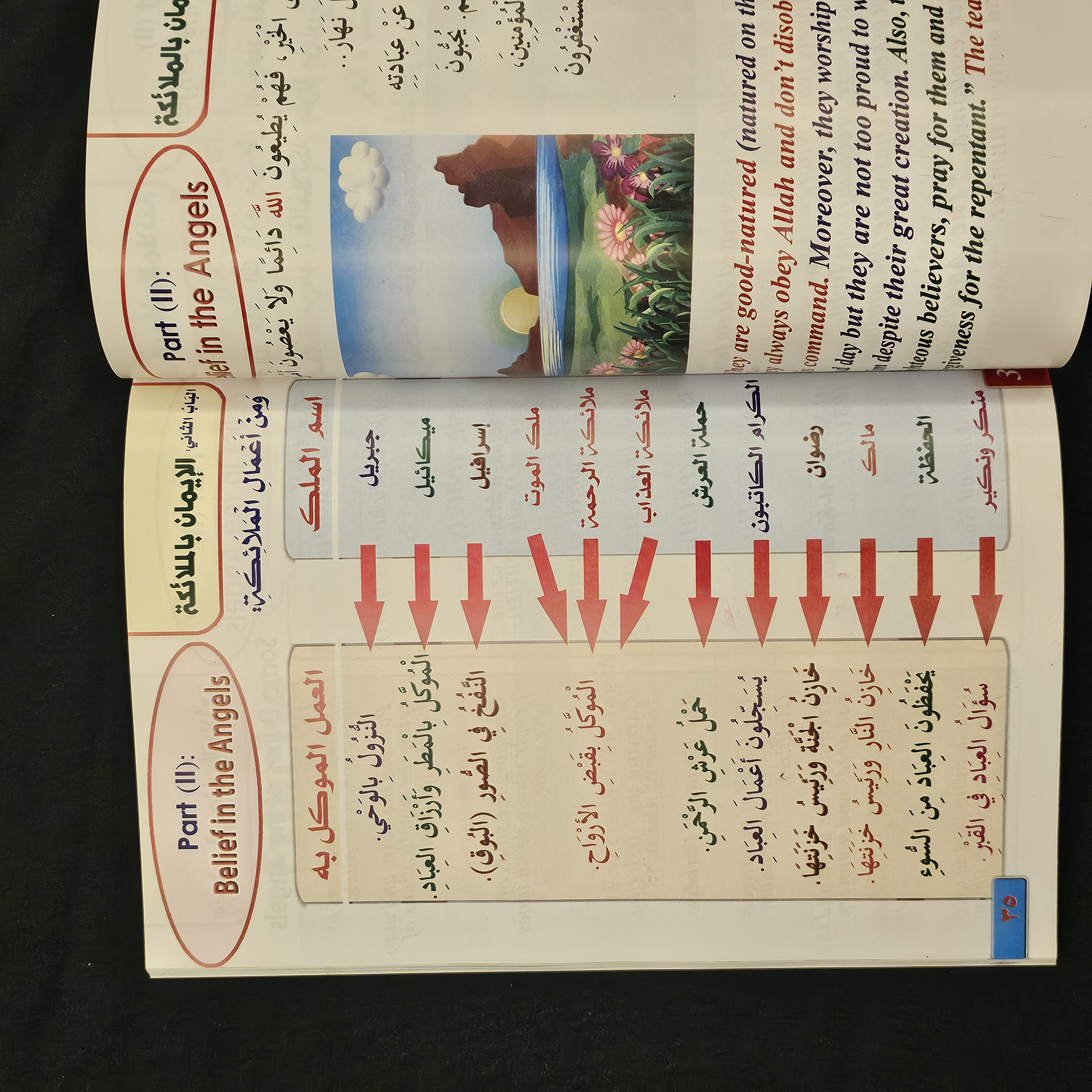 كتاب معلم العقيدة مترجم (عربي / انجليزي)