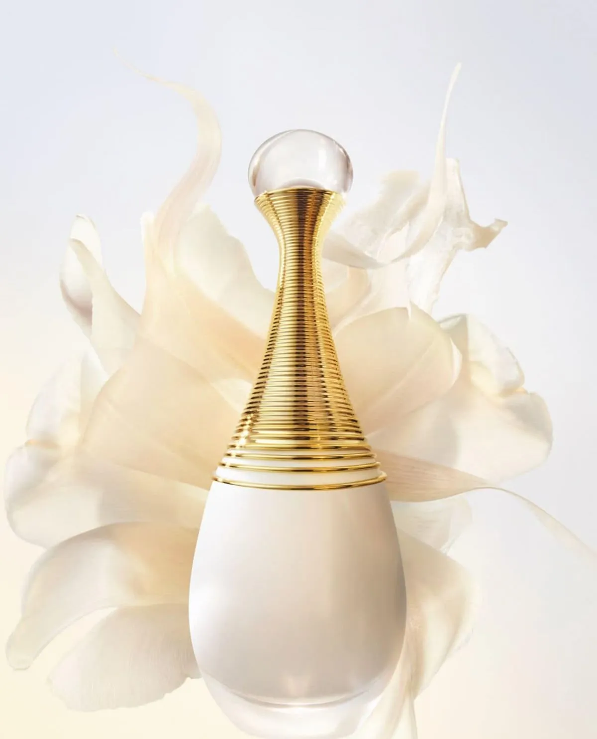 🌹 J’adore White 30ml – Dior