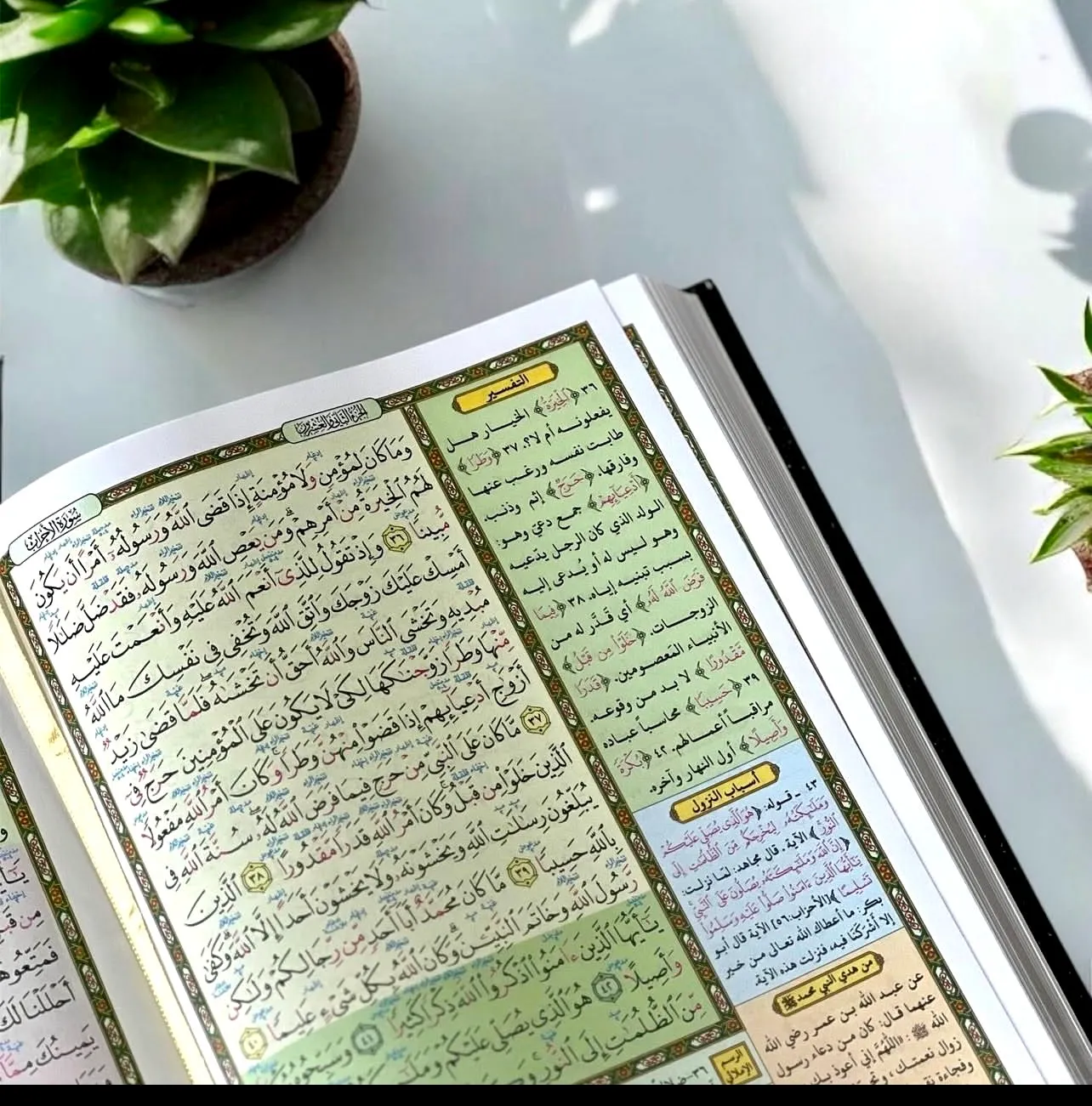 المصحف القارئ المتقن الشامل - image 2